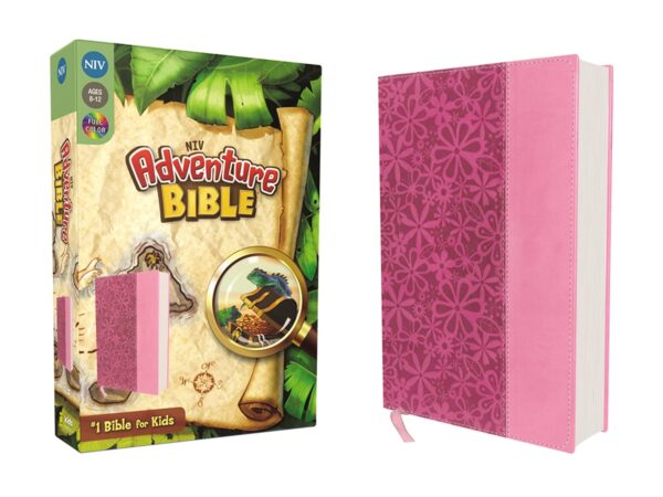 Adventure Bible, NIV (Revised) (Adventure Bible) Pink Full Color
