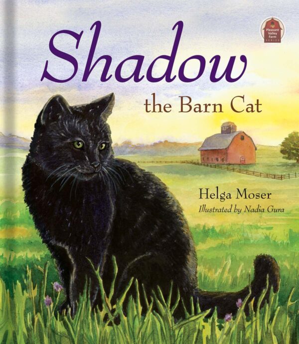 Shadow the Barn Cat